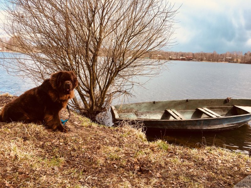 Фотография № 235473