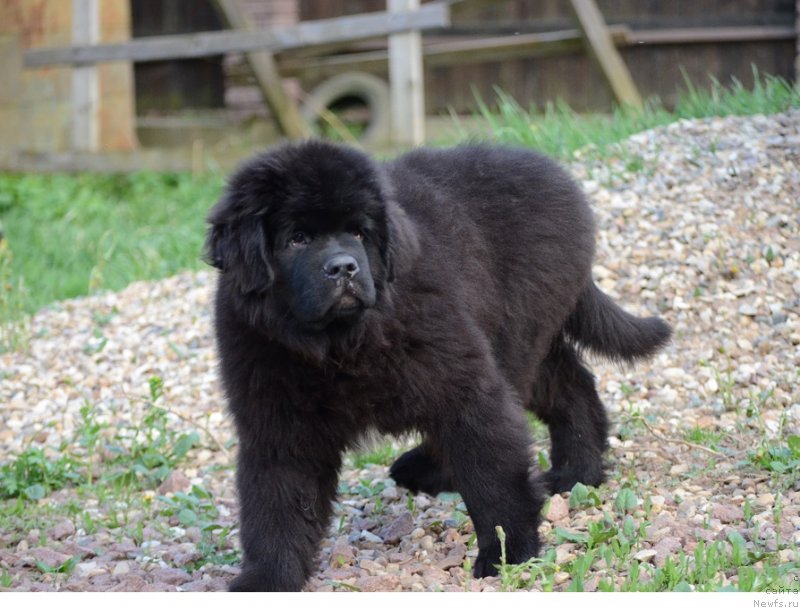 Фотография № 235483