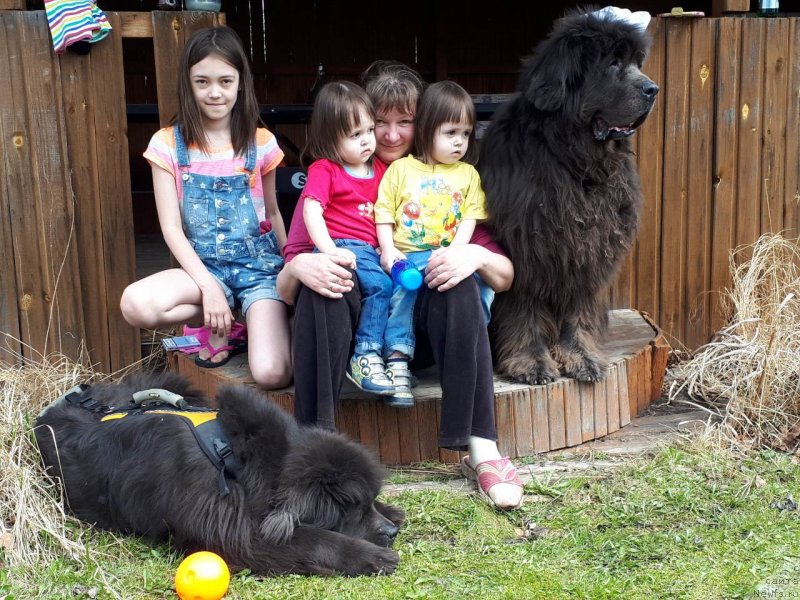 Фотография № 235490