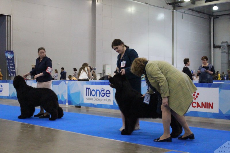 Фотография № 235500