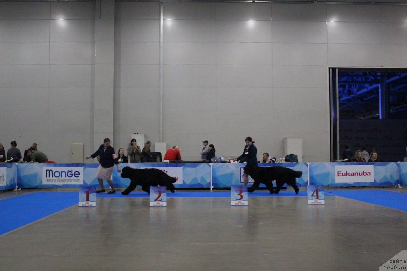 Фотография № 235501