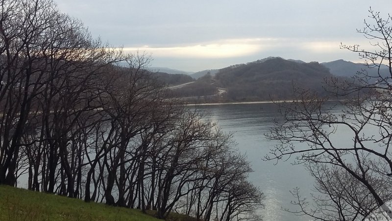 Фотография № 235507