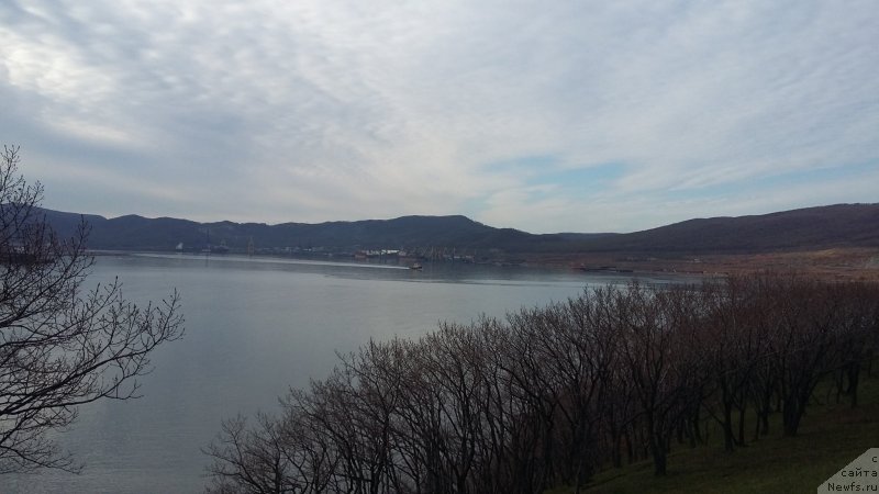 Фотография № 235508