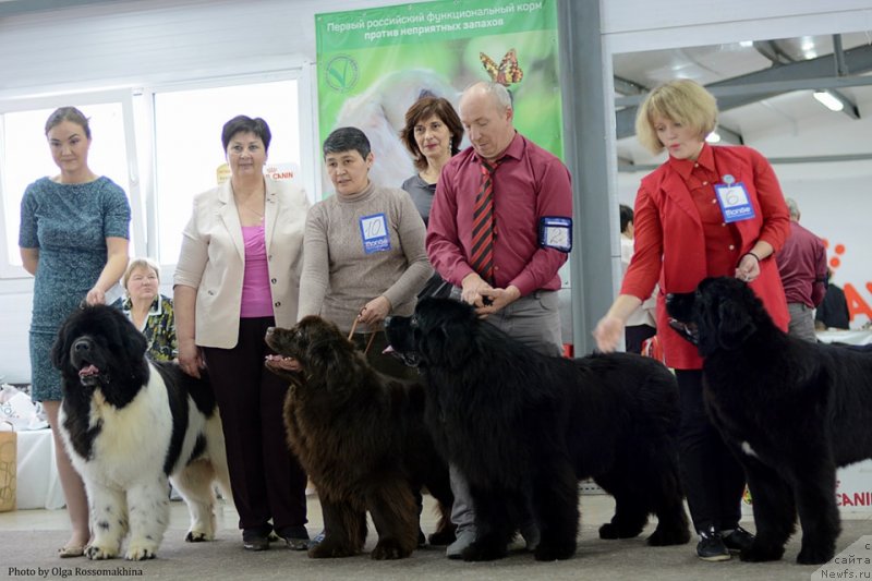 Фотография № 235548