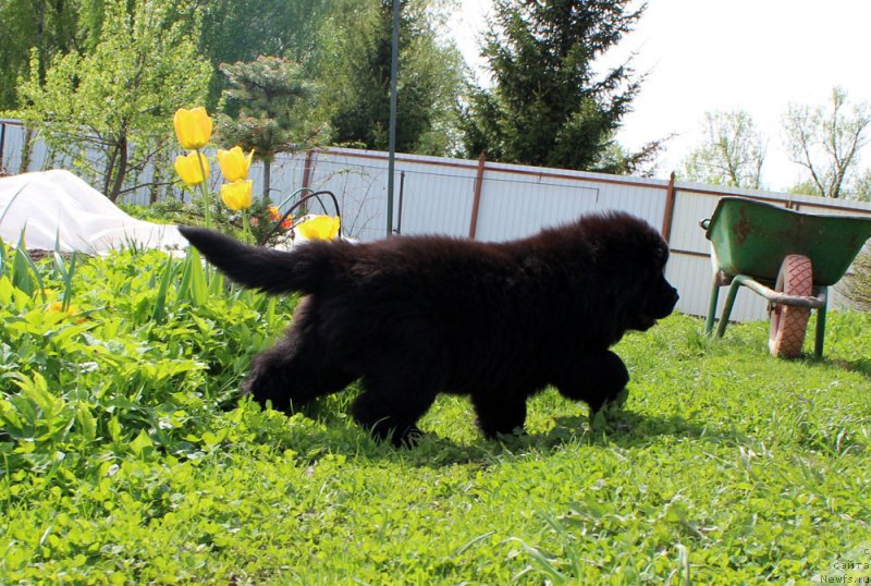 Фотография № 235587