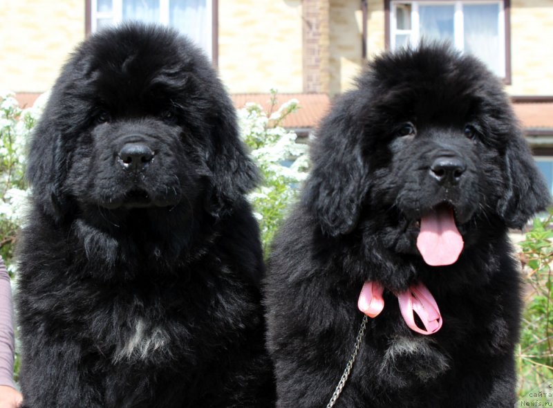 Фотография № 235588