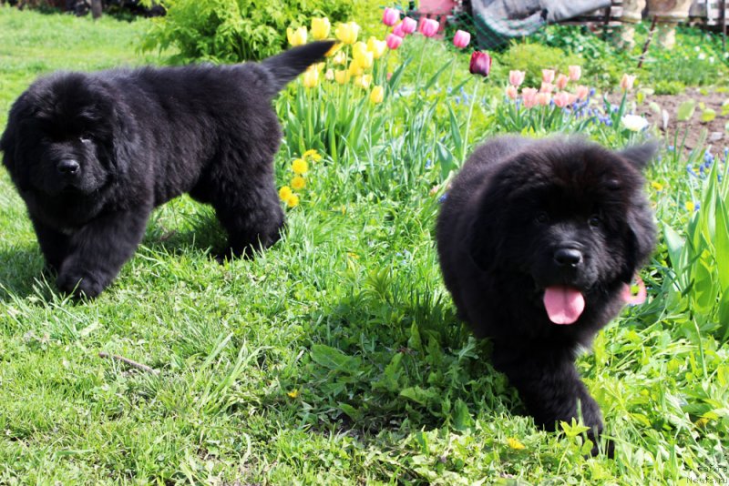 Фотография № 235592