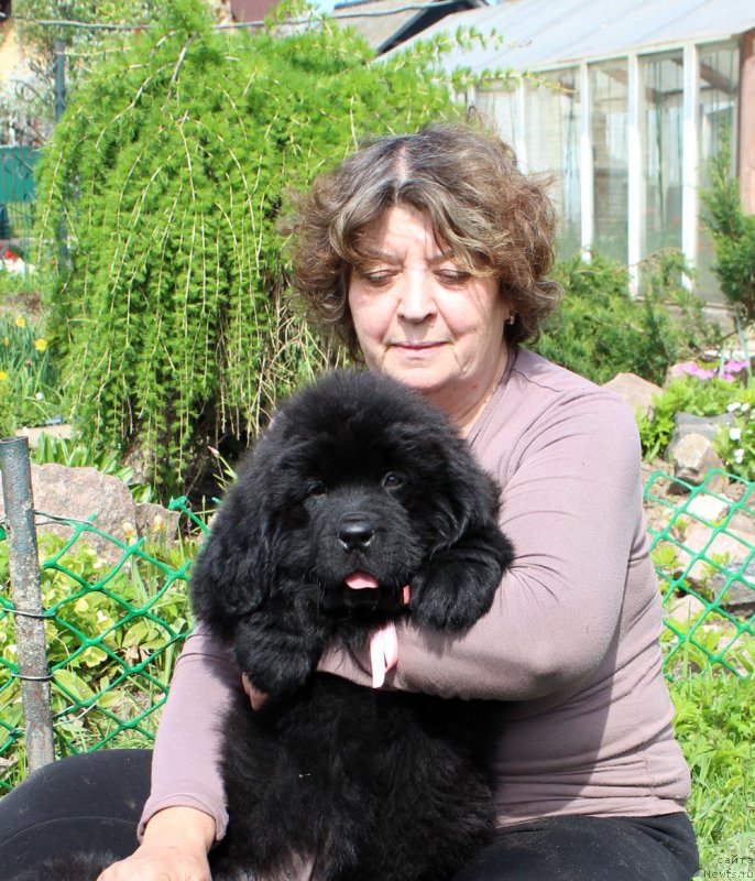 Фотография № 235594