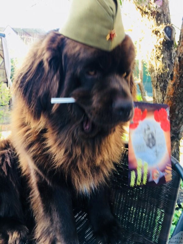 Фотография № 235595