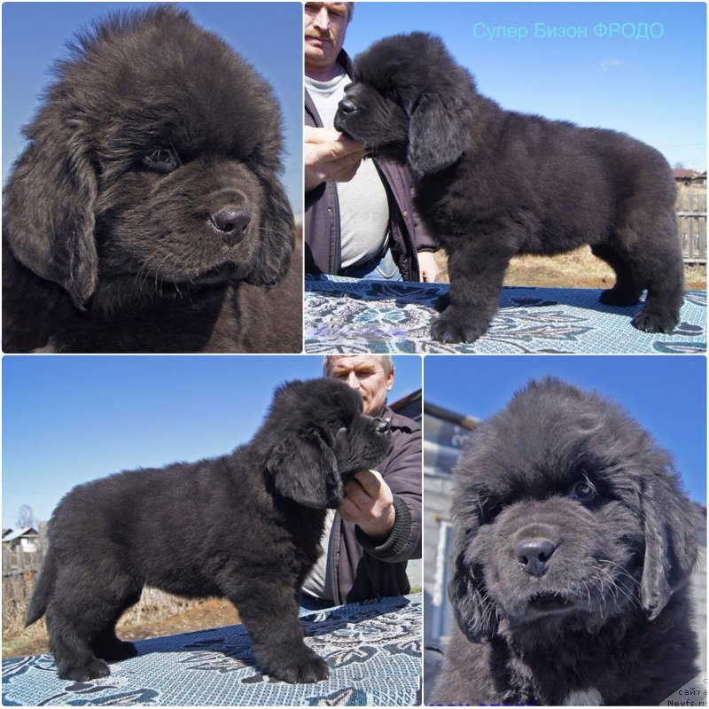 Фотография № 235616