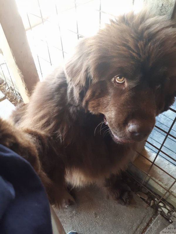 Фотография № 235649