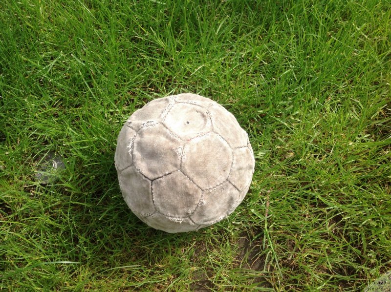 Фотография № 235650