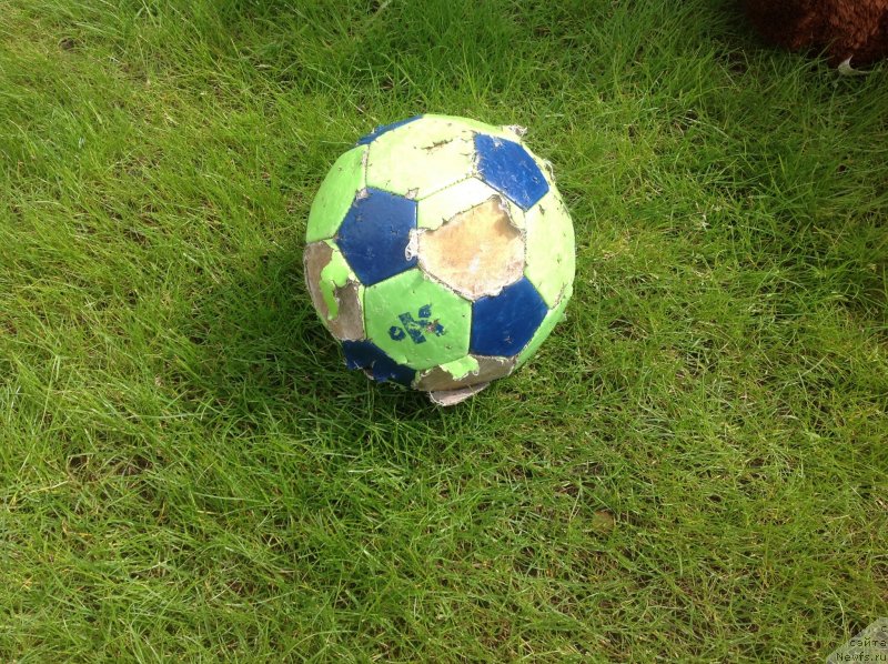 Фотография № 235651