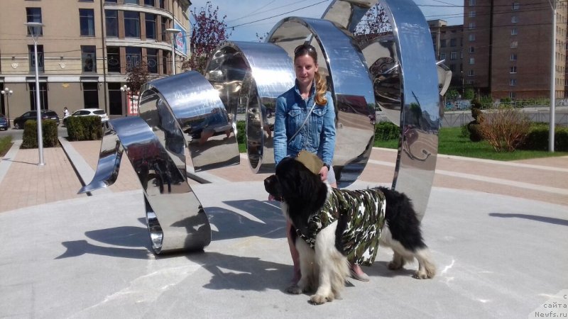 Фотография № 235656