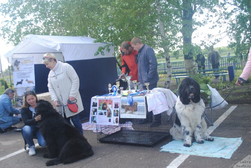 Фотография № 235710