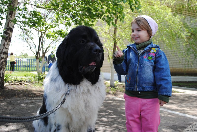 Фотография № 235722