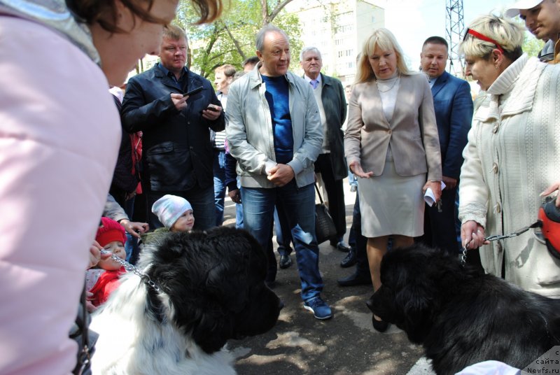 Фотография № 235723