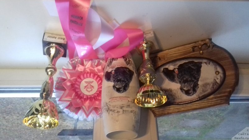 Фотография № 235746