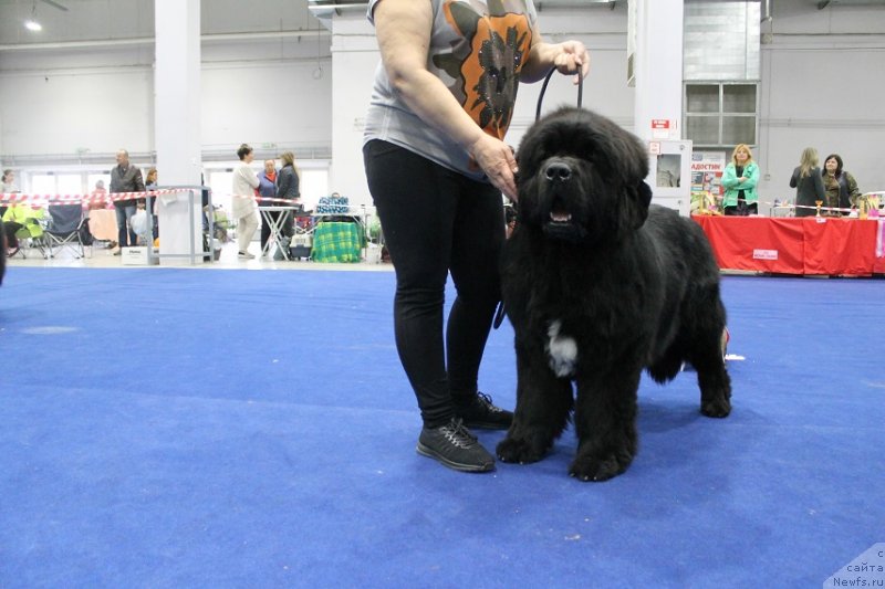 Фотография № 235753