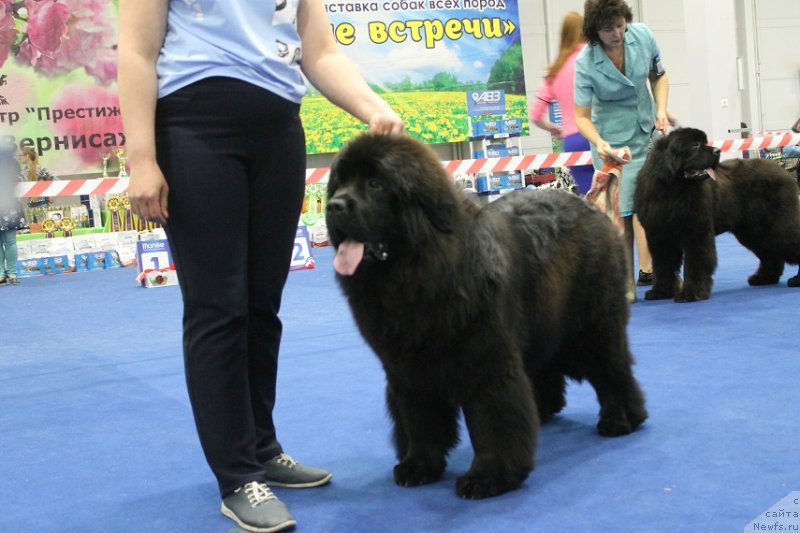Фото: Марья Краса от Сибирского Медведя
