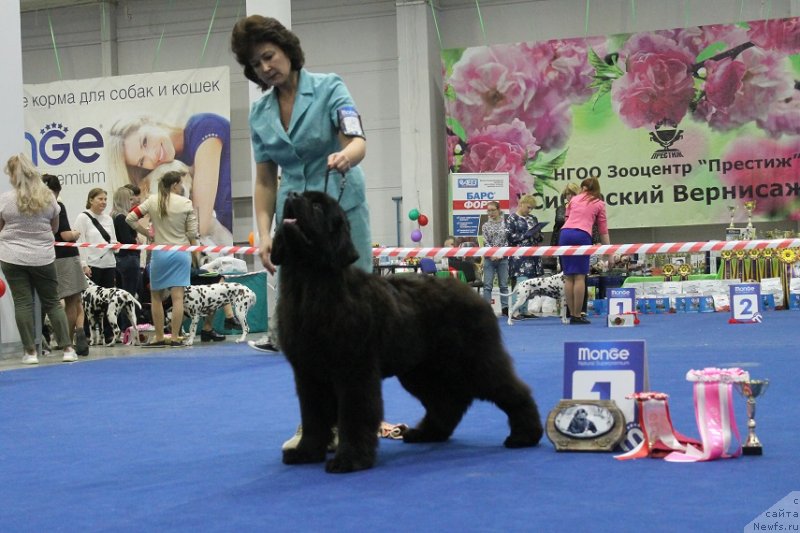 Фотография № 235757