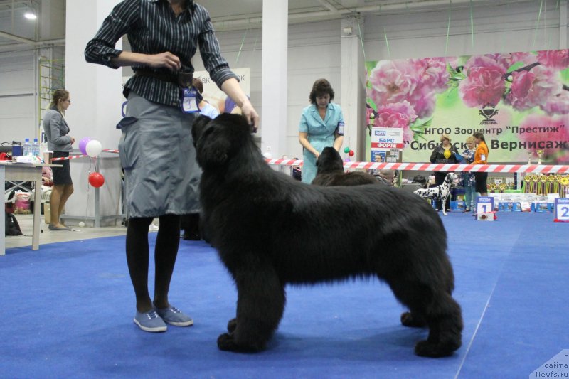 Фотография № 235758