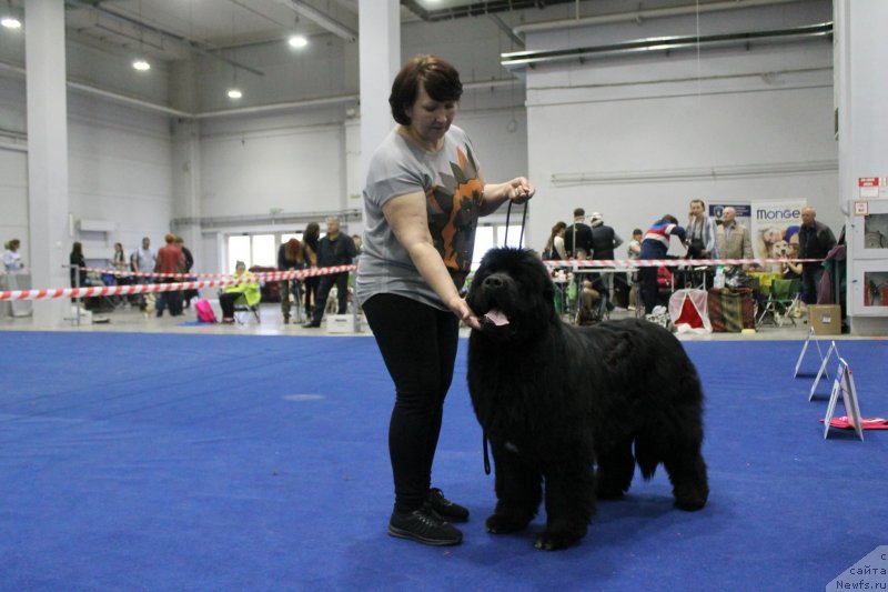 Фотография № 235781