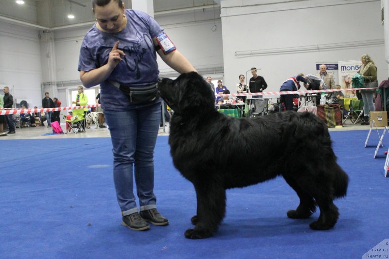 Фотография № 235782