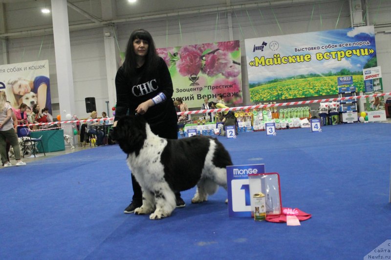 Фотография № 235784