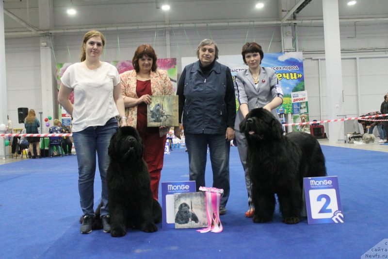 Фотография № 235785