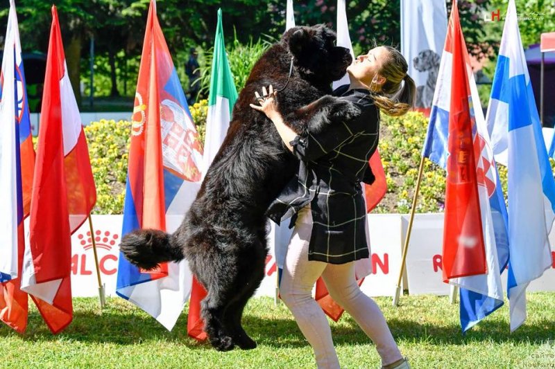 Фотография № 235801