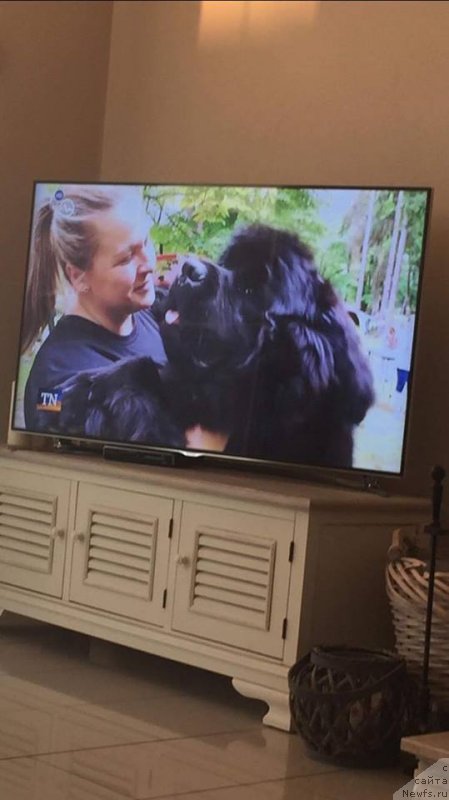 Фотография № 235803