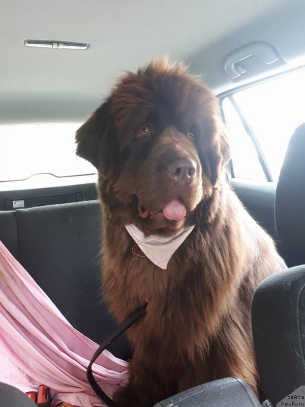 Фотография № 235812