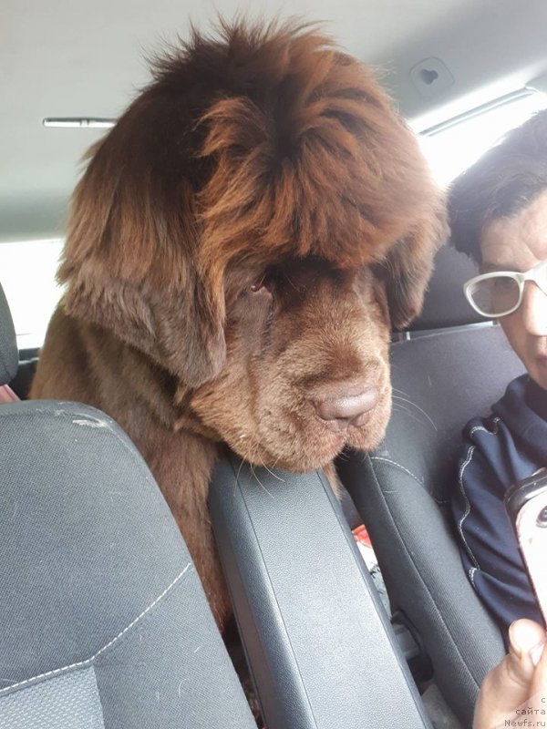 Фотография № 235813