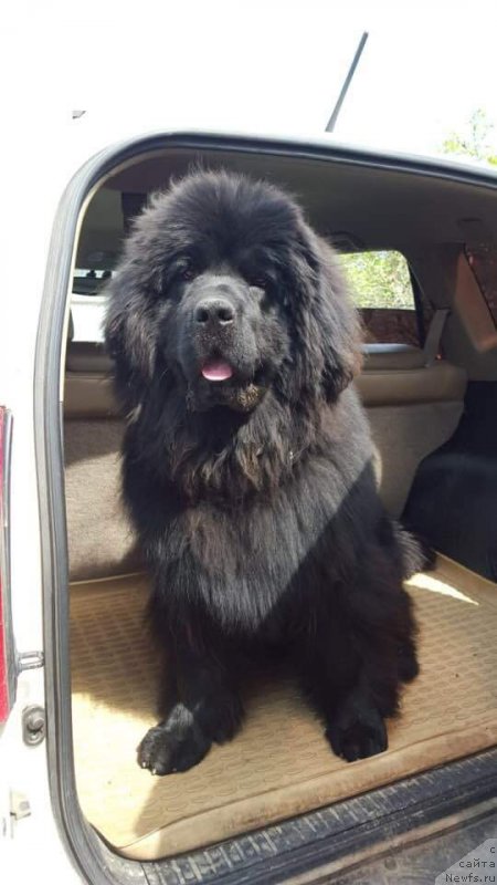 Фотография № 235815