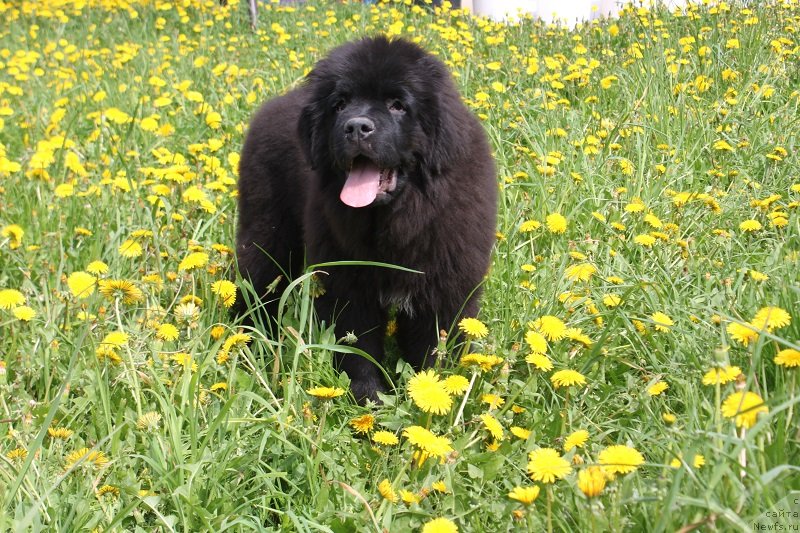 Фотография № 235823