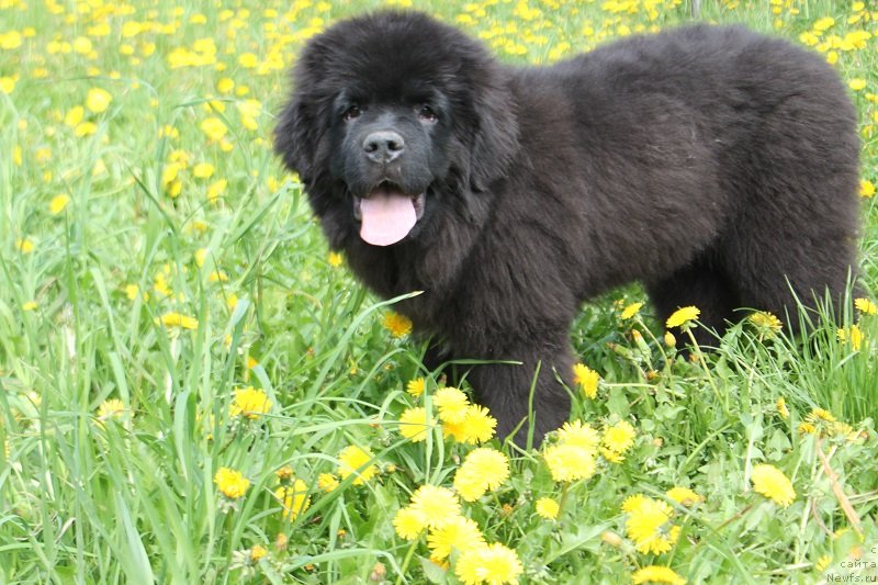 Фотография № 235825