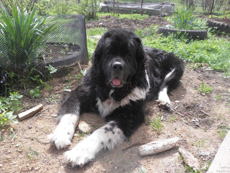 Фотография № 235832