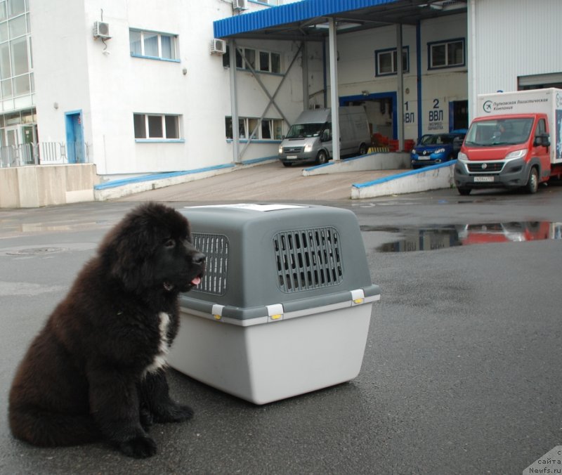 Фотография № 235843