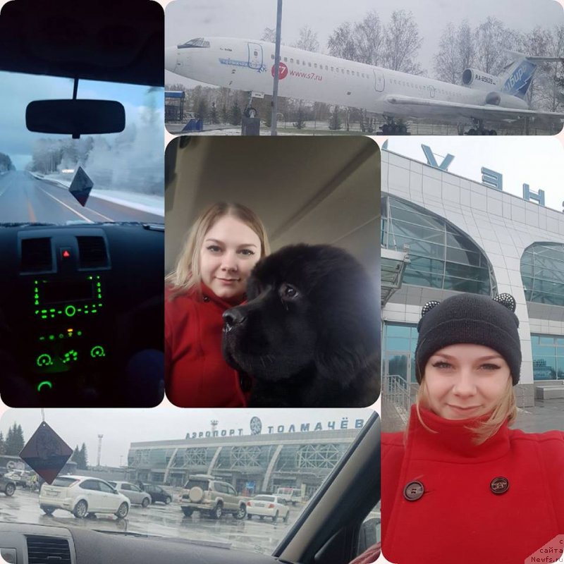 Фотография № 235844