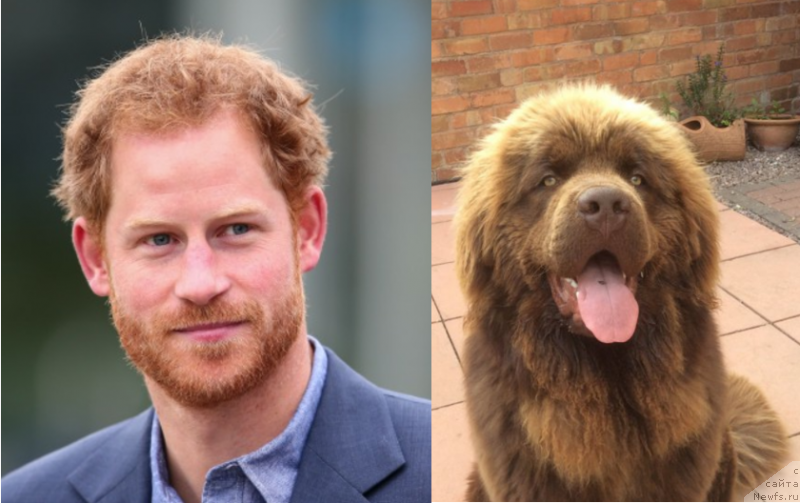 Фотография № 235845