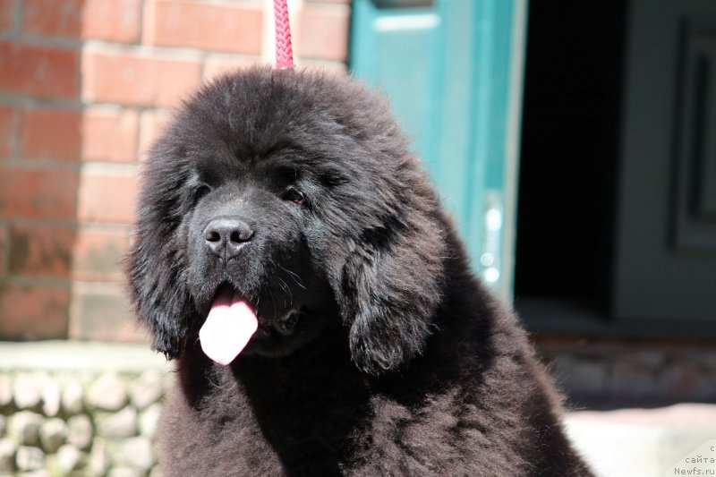 Фотография № 235852