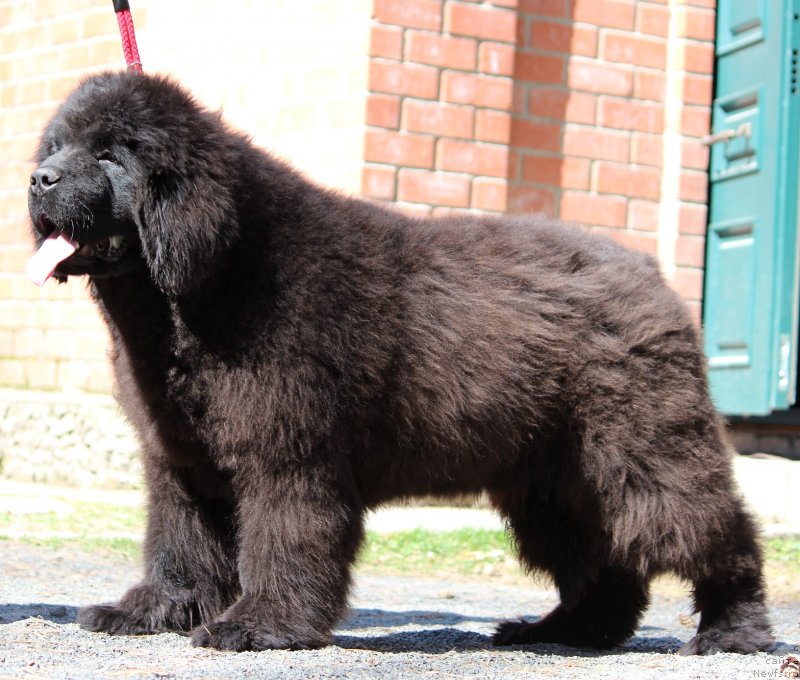 Фотография № 235855