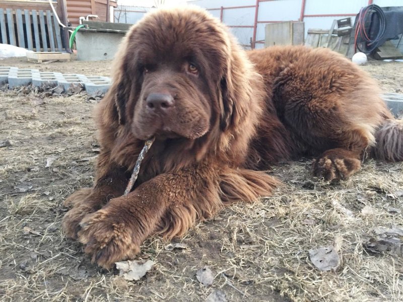 Фотография № 235870