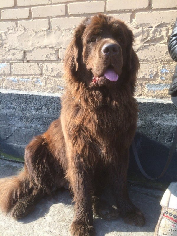 Фотография № 235872