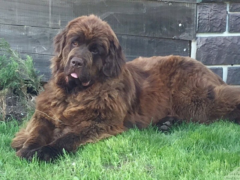 Фотография № 235873