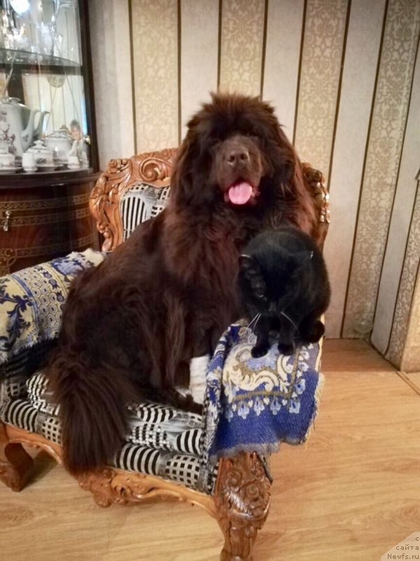 Фотография № 235878