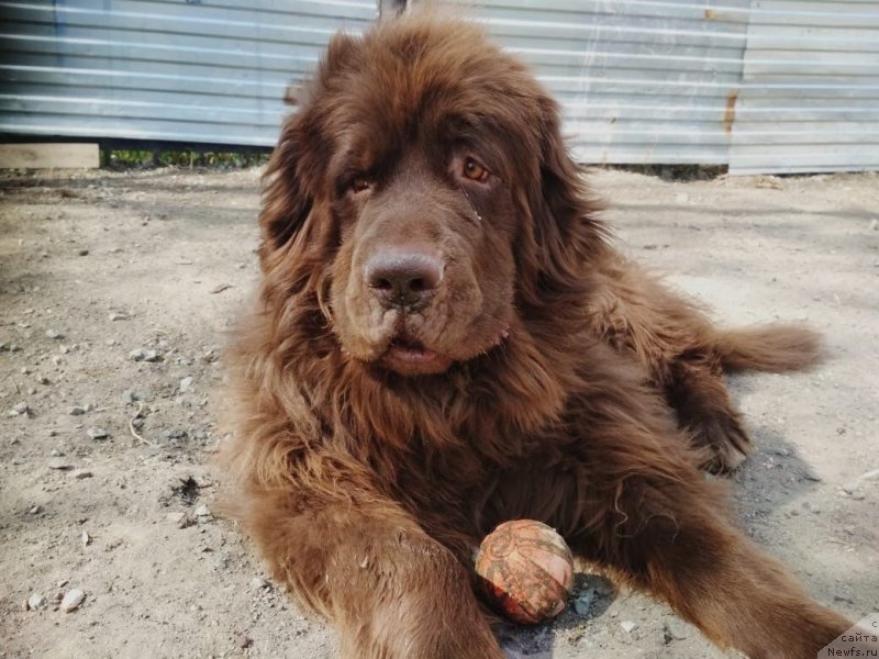 Фотография № 235879