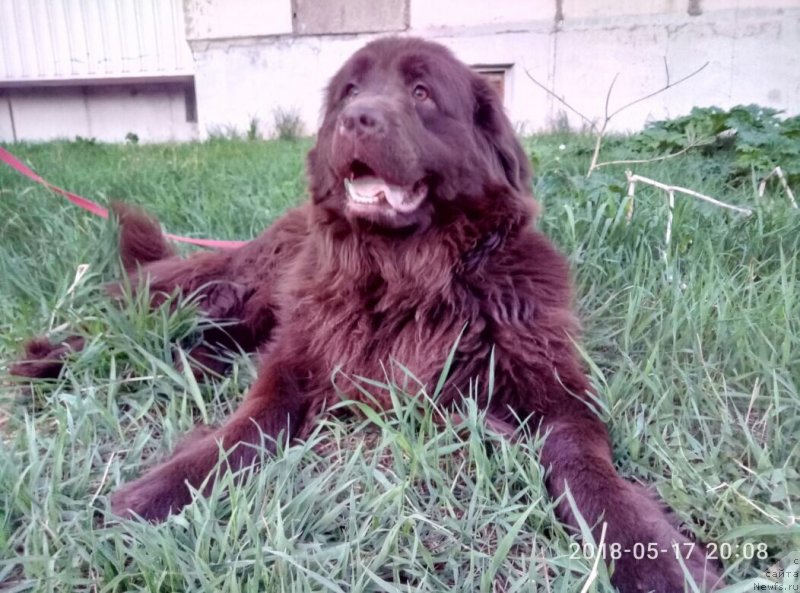 Фотография № 235880