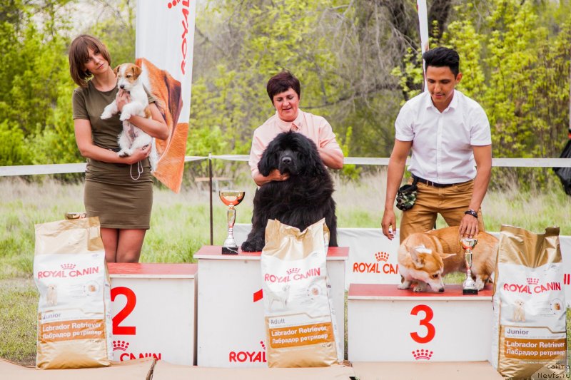 Фотография № 235891